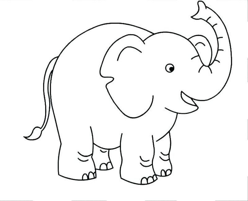 gambar sketsa gajah dan belalai
