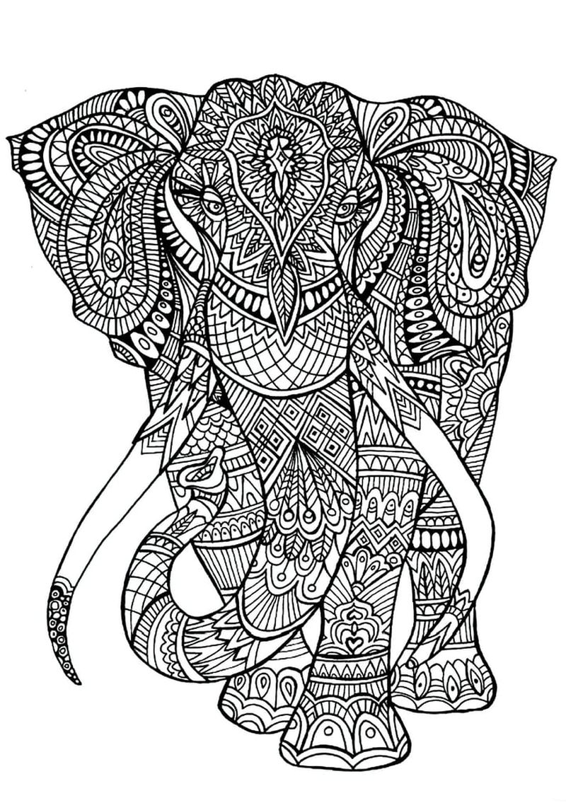 gambar sketsa gajah keren