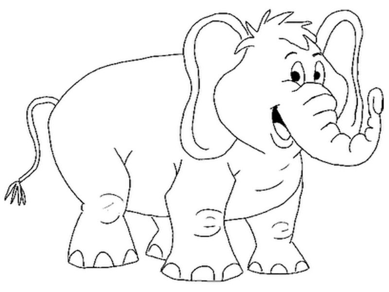 gambar sketsa gajah mewarnai