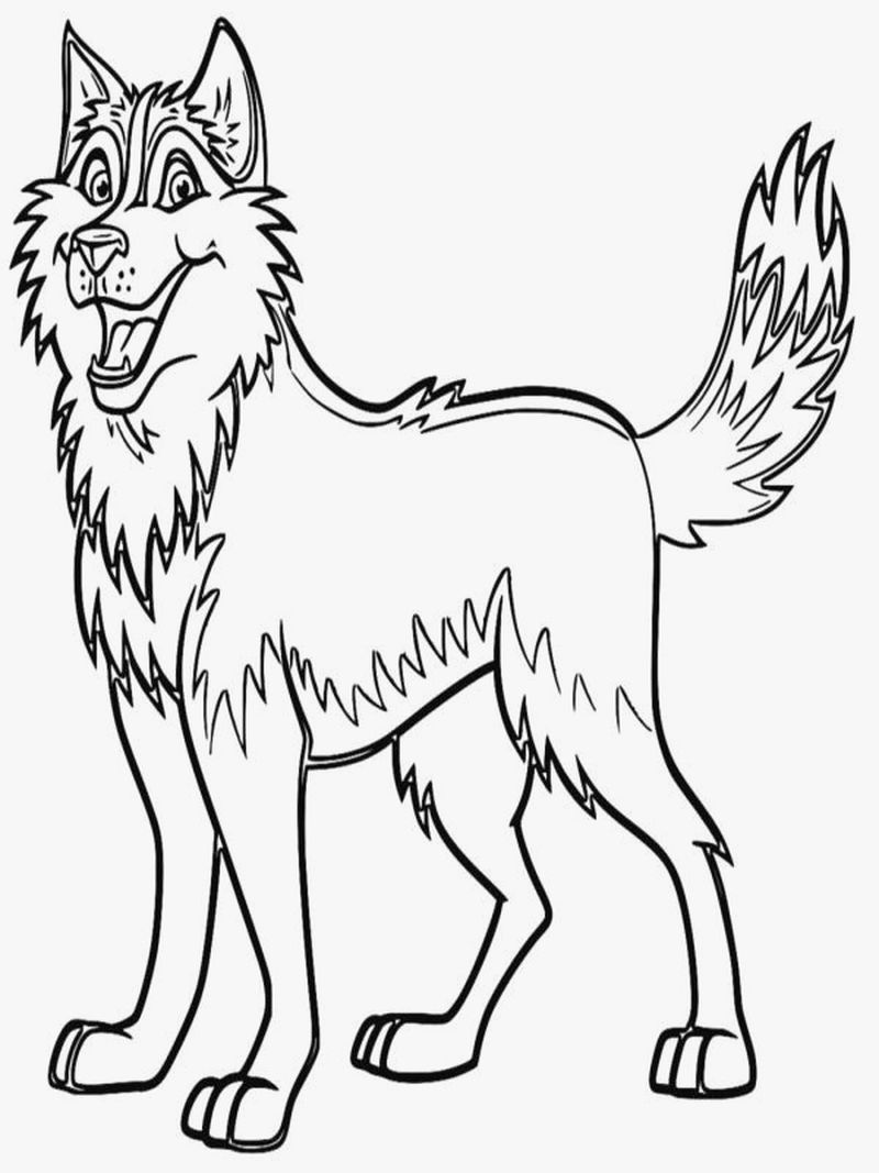 gambar sketsa hewan serigala