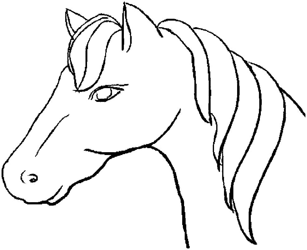gambar sketsa kepala kuda