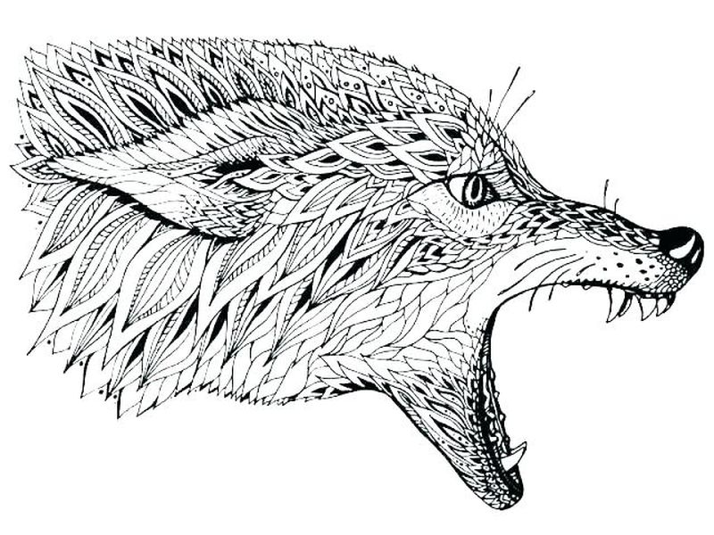 gambar sketsa kepala serigala
