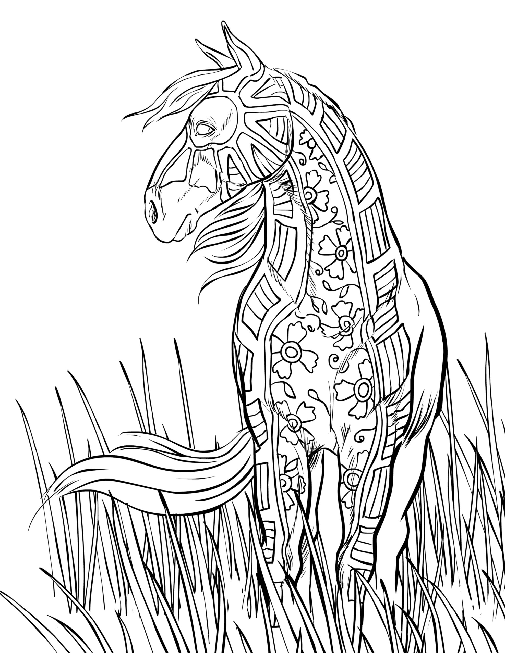 gambar sketsa kuda untuk diwarnai