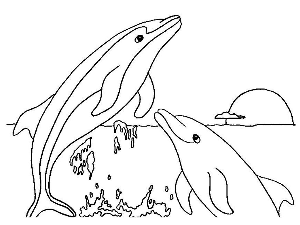 gambar sketsa lumba lumba ikan pintar