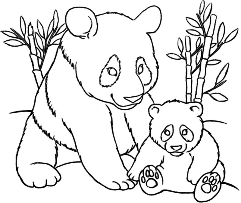 gambar sketsa panda dan anaknya