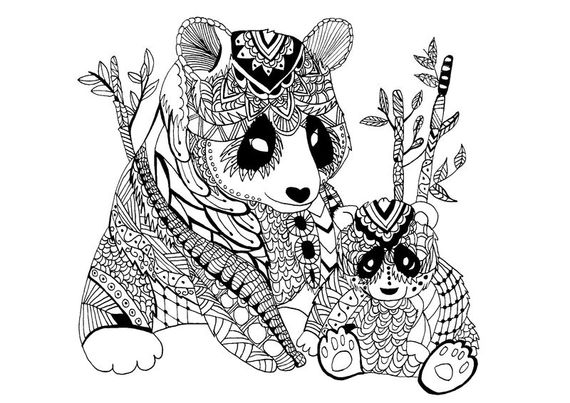gambar sketsa panda untuk diwarnai