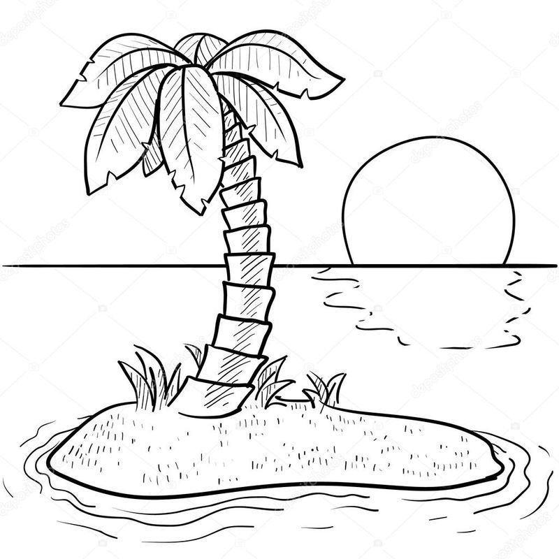 gambar sketsa pantai pohon kelapa
