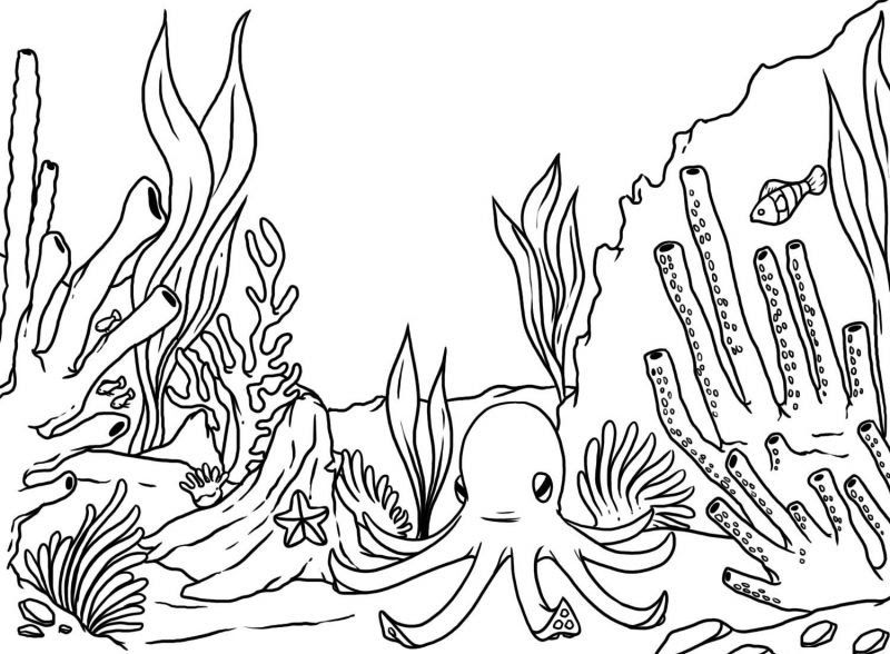 gambar sketsa pemandangan bawah laut