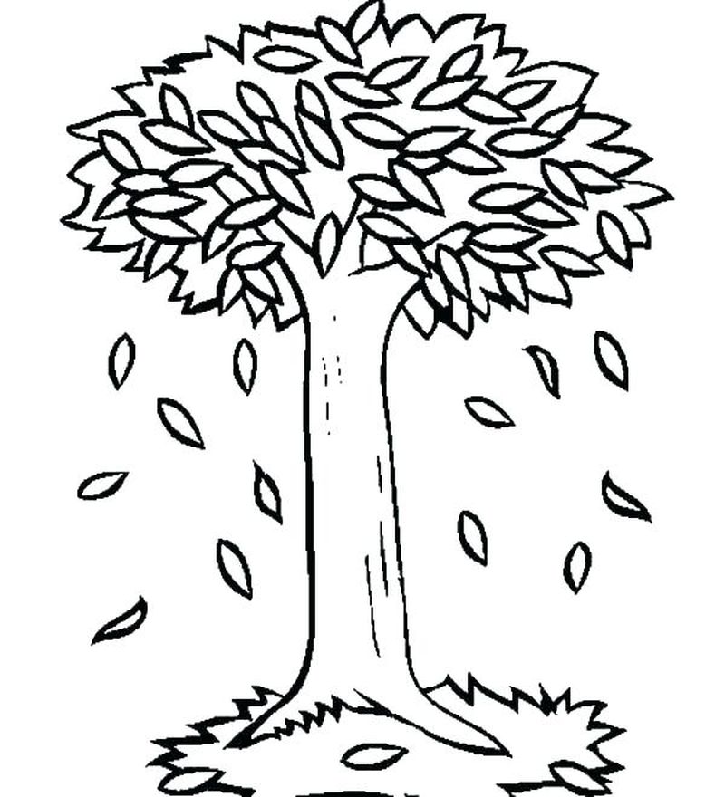 gambar sketsa pohon daun jatuh