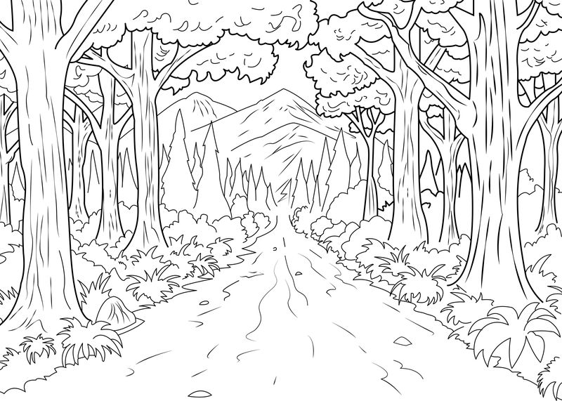 gambar sketsa pohon di hutan