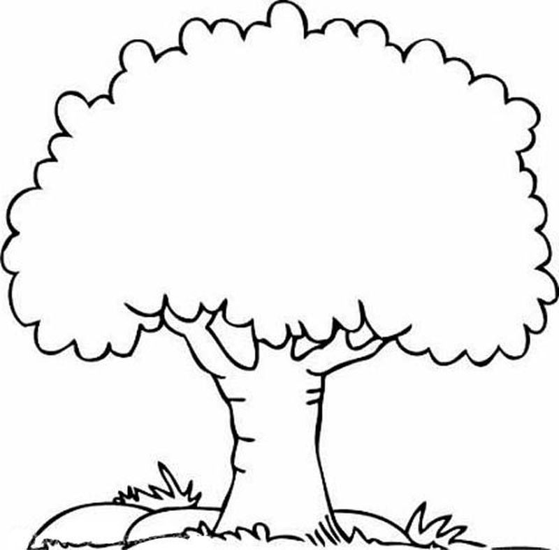gambar sketsa pohon hd