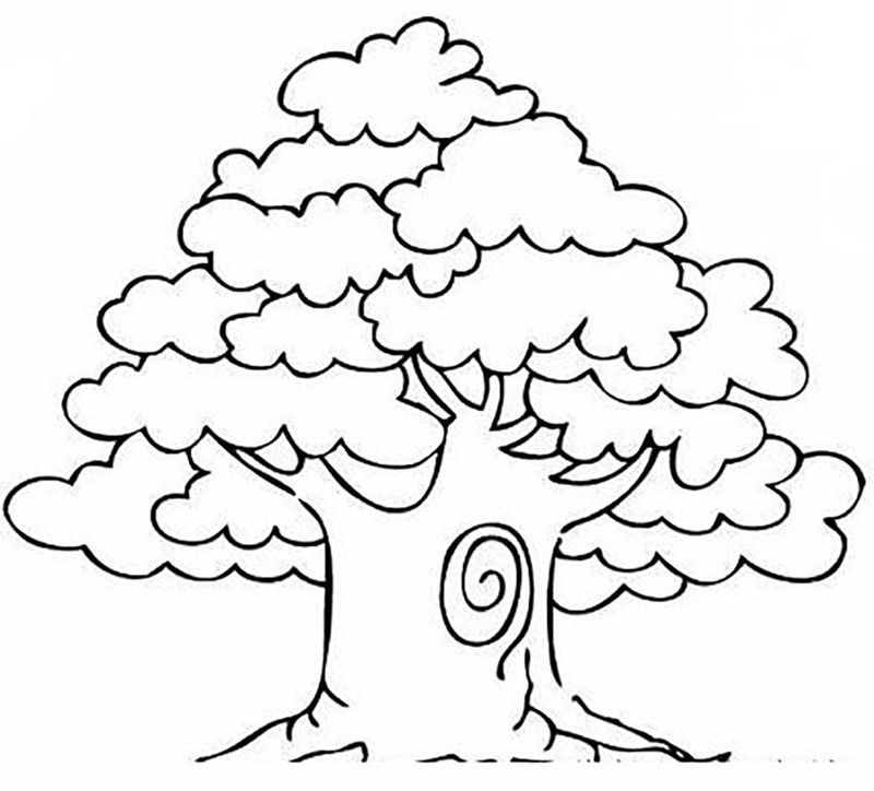 gambar sketsa pohon rindang sejuk