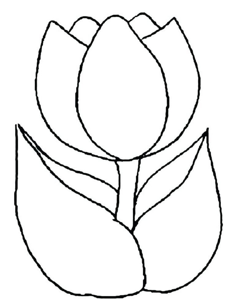 gambar sketsa sekuntum bunga tulip
