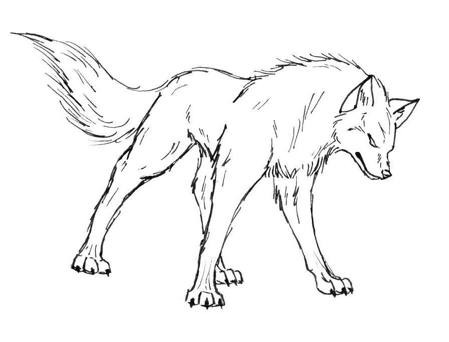 gambar sketsa serigala keren