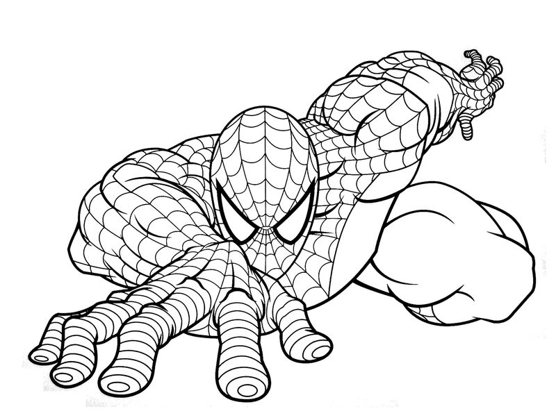 gambar sketsa spiderman hd