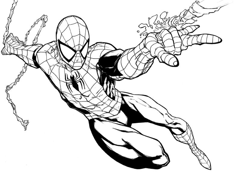 gambar sketsa spiderman