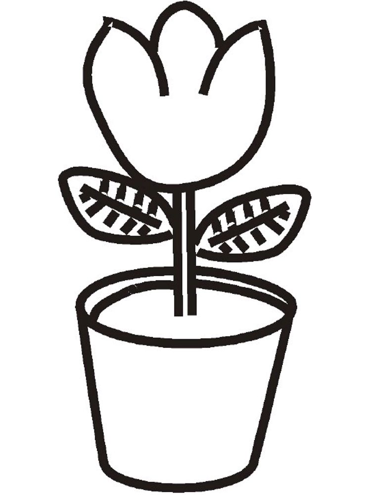 gambar sketsa tumbuhan bunga di pot