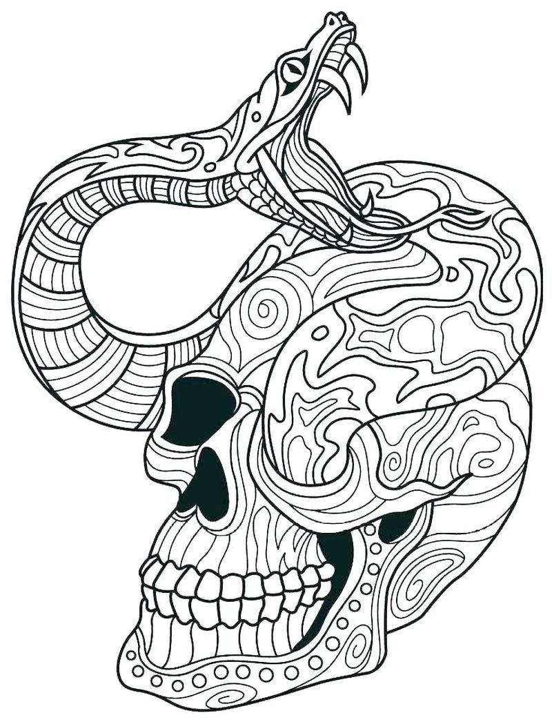 gambar sketsa ular dan tengkorak