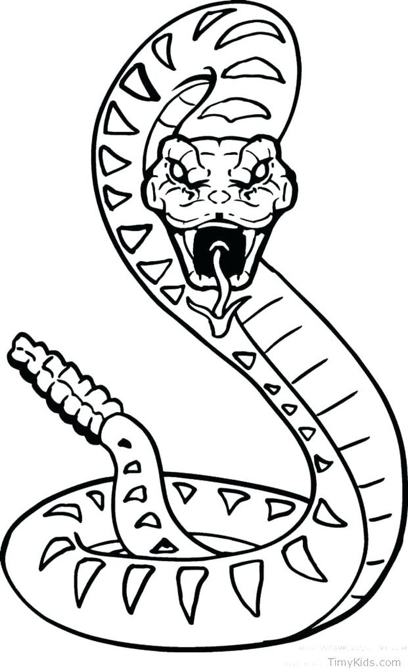 gambar sketsa ular untuk diwarnai
