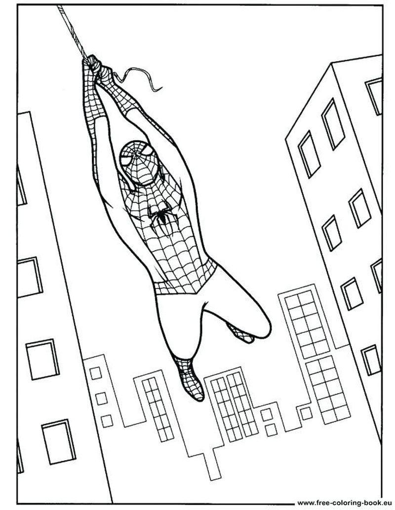 hd contoh gambar sketsa spiderman
