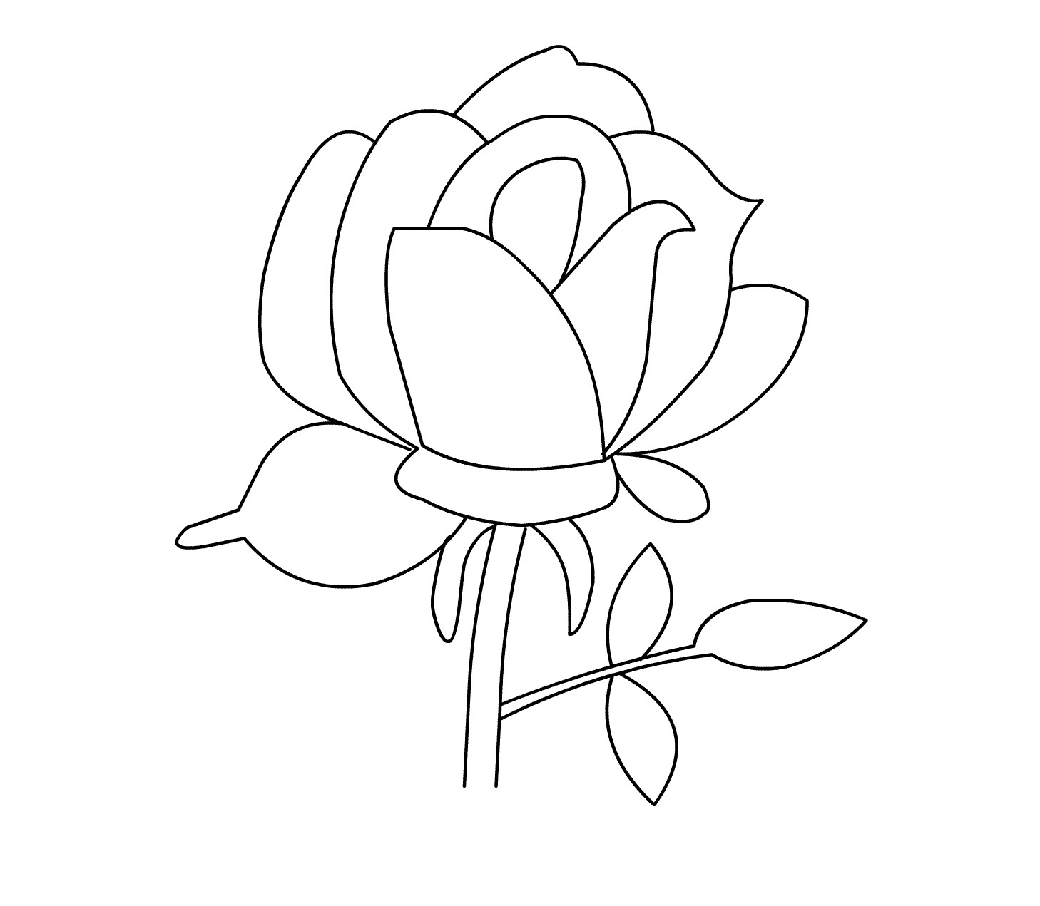 hd gambar sketsa bunga mawar