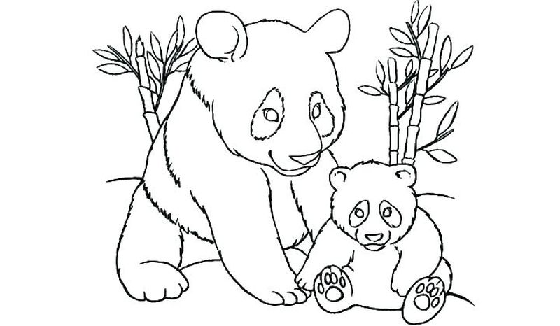 hd gambar sketsa panda