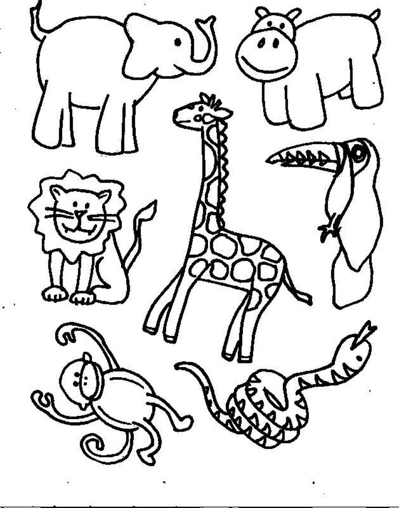 kumpulan gambar sketsa hewan