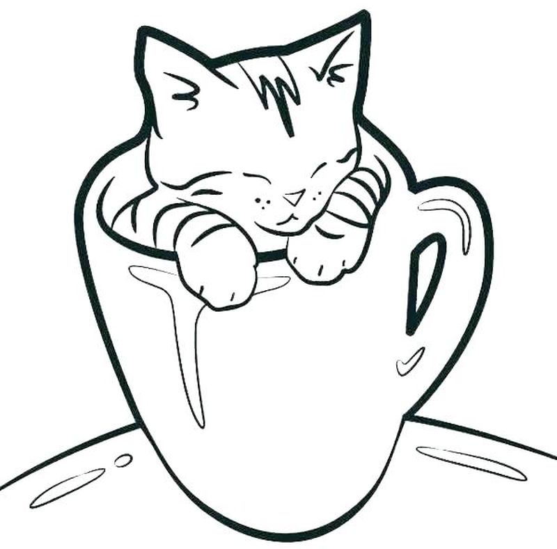 lucu gambar sketsa kucing