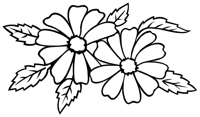 mewarnai contoh gambar sketsa bunga sederhana