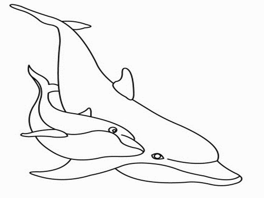 mewarnai gambar sketsa ikan lumba lumba