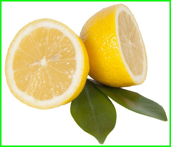 poto jeruk Lemon Fino Citron