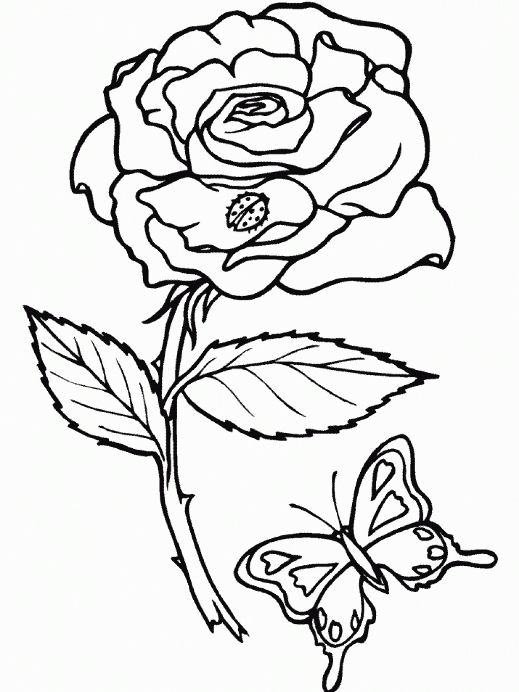 sketsa bunga mawar dan kupu kupu