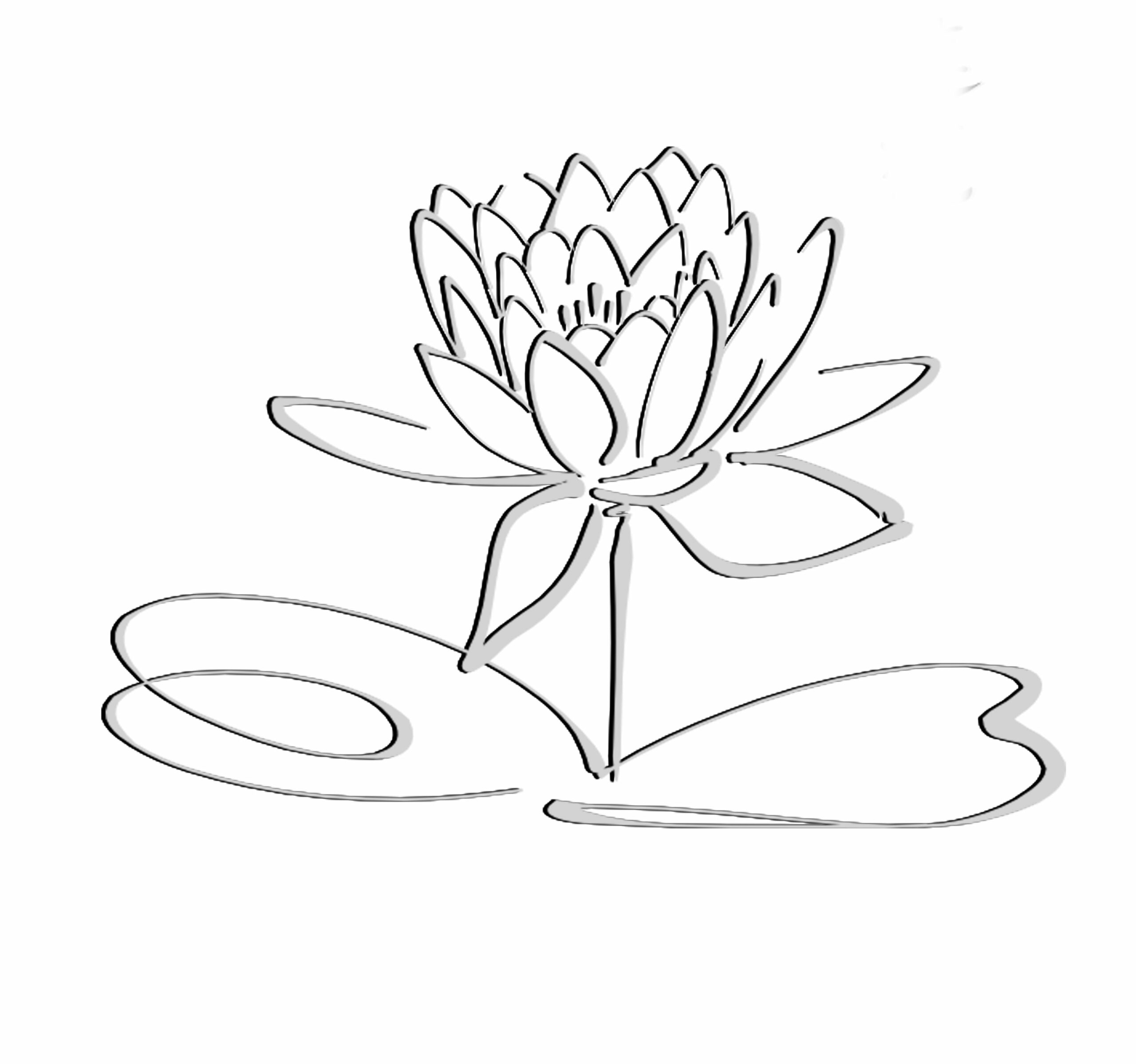 sketsa bunga teratai hd