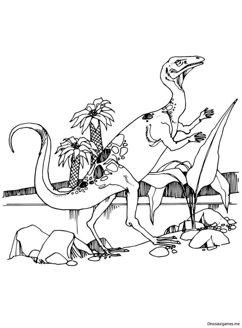 Print Dinosaur Coloring Pages