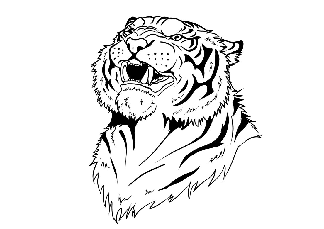 contoh hd gambar sketsa macan