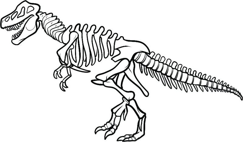 gambar kerangka sketsa dinosaurus