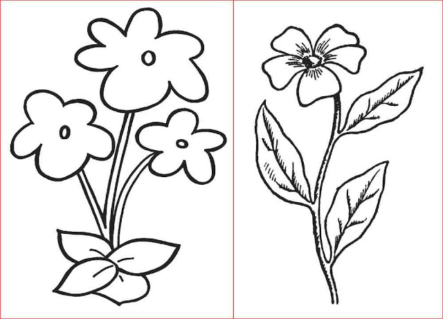 gambar sketsa flora bunga sederahana