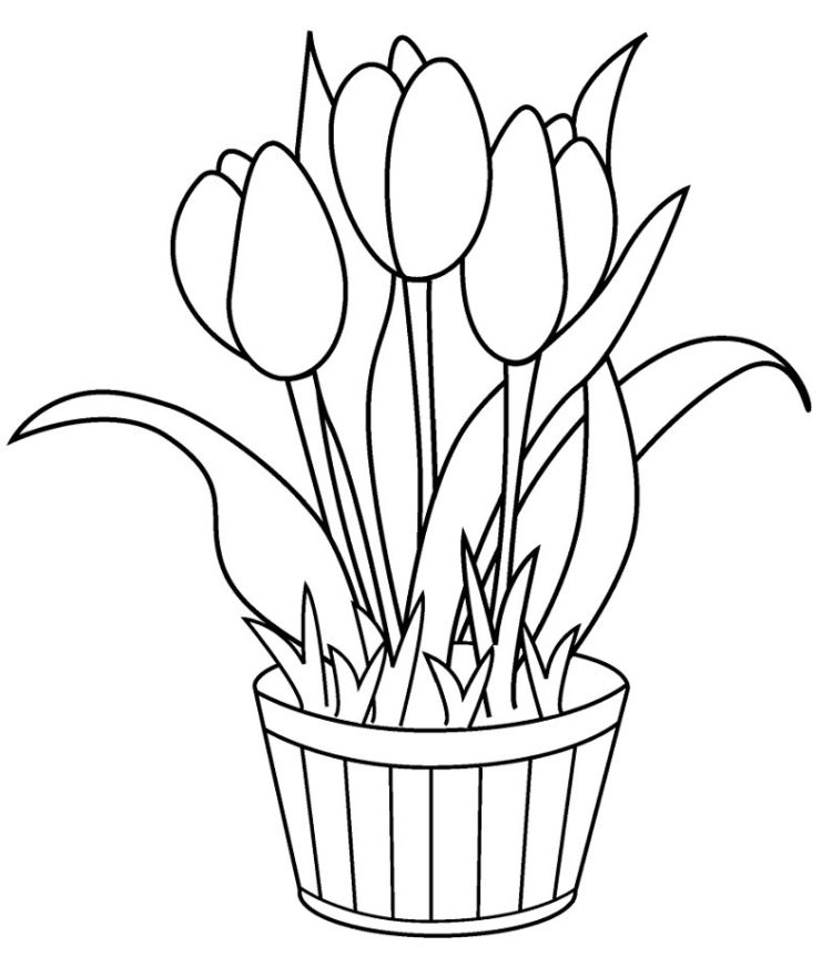 gambar sketsa flora