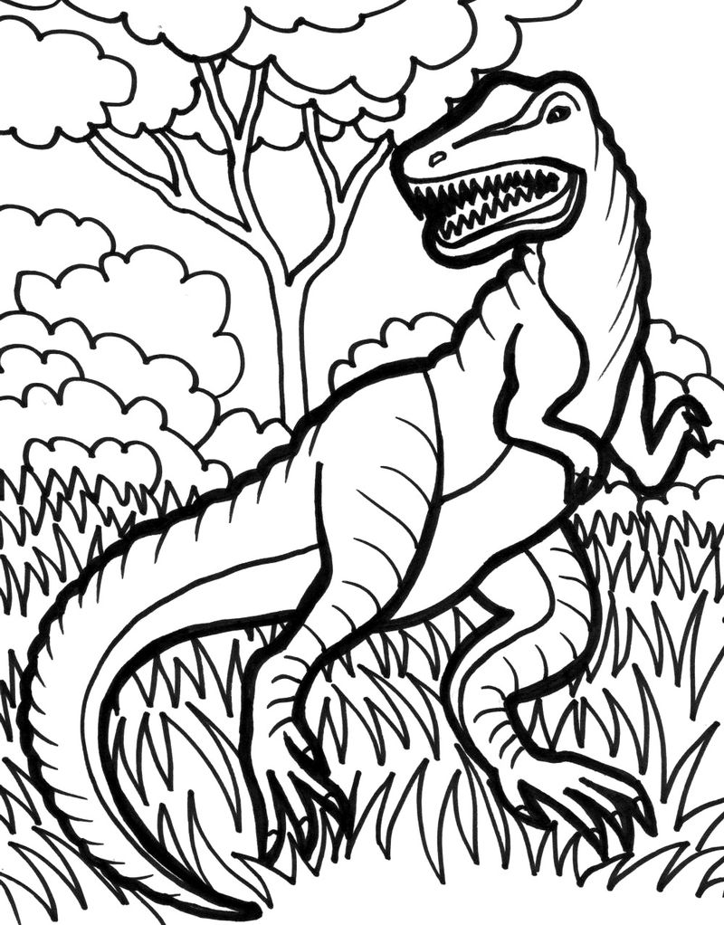 hd contoh sketsa dinosaurus