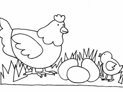 Mewarnai Gambar Telur Ayam