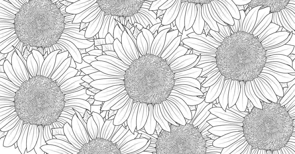 Mewarnai Gambar Sketsa Motif Bunga Matahari
