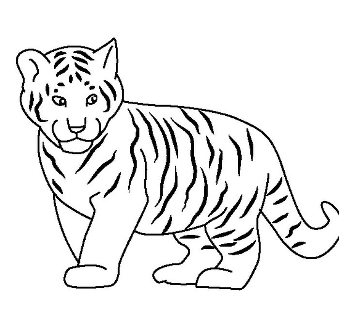 Gambar Harimau Untuk Mewarnai Anak Tk