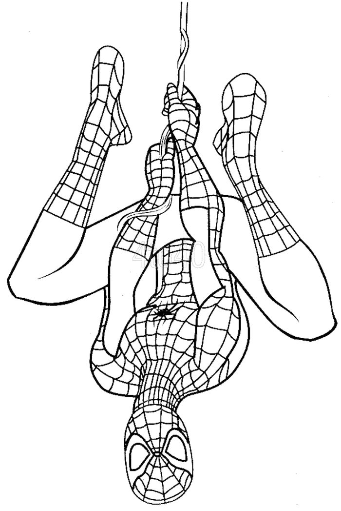 Gambar Spiderman Untuk Mewarnai