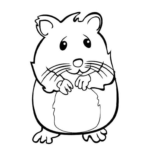 contoh mewarnai gambar hamster