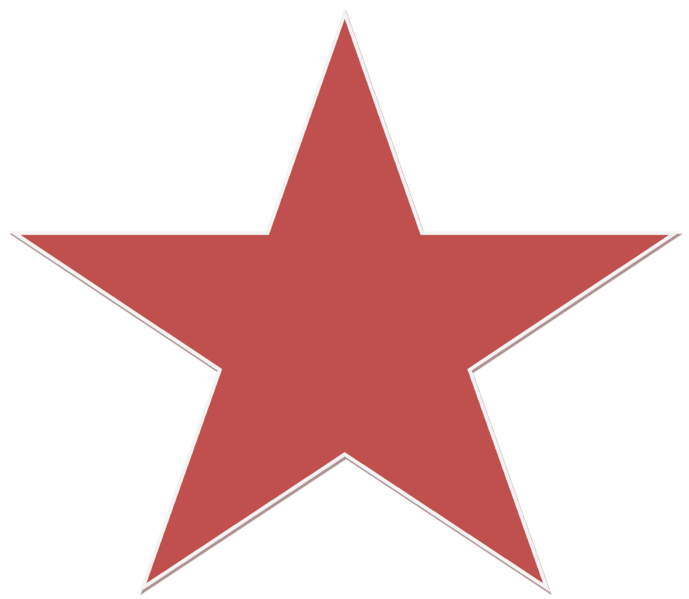 bintang logo vector