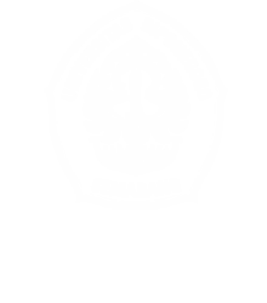 logo undip hd