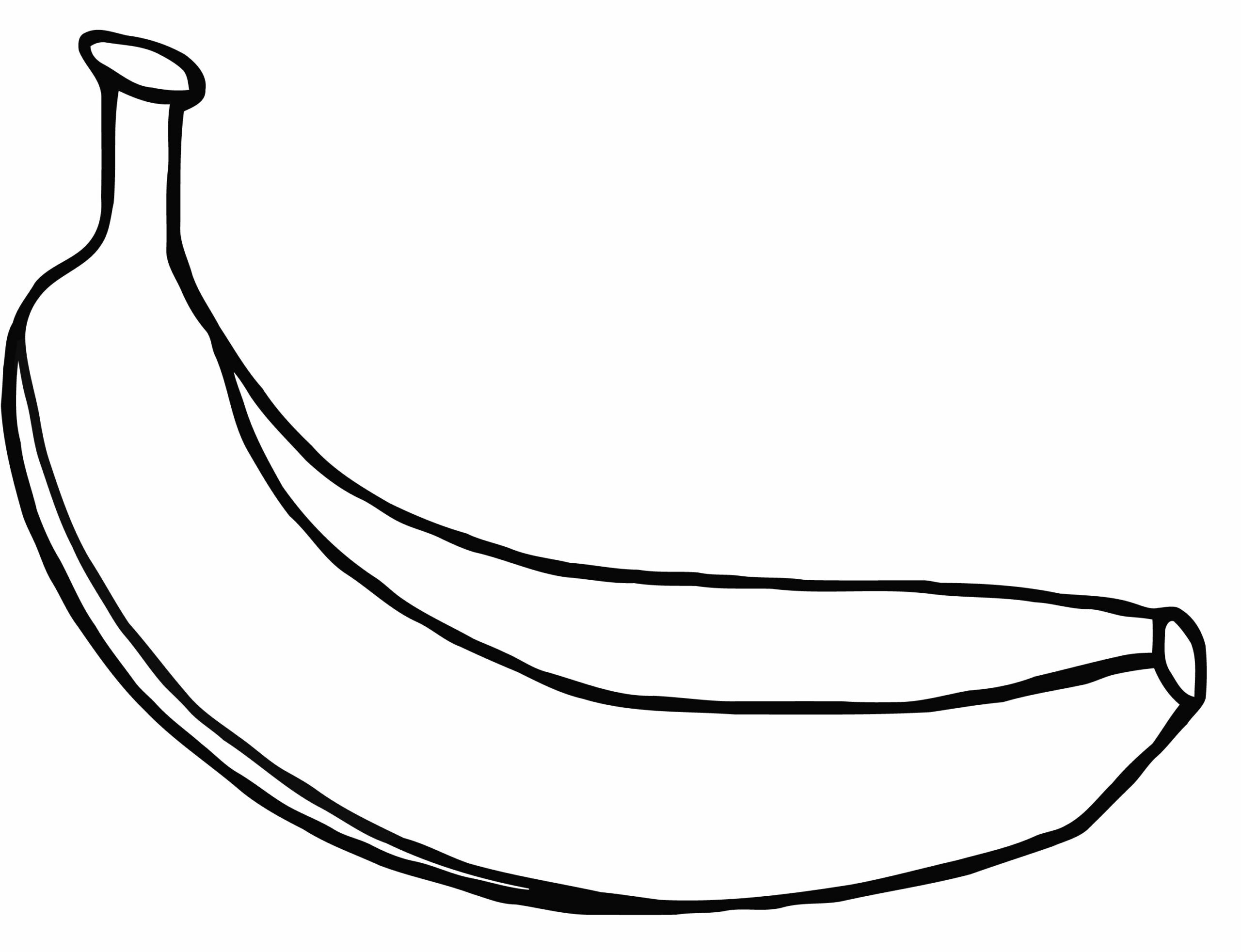 gambar sketsa pisang hd