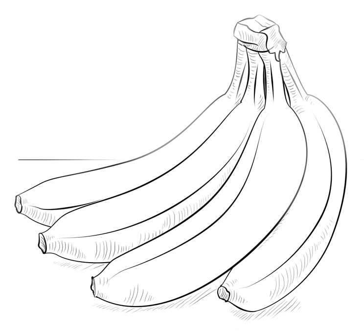 gambar sketsa pisang png
