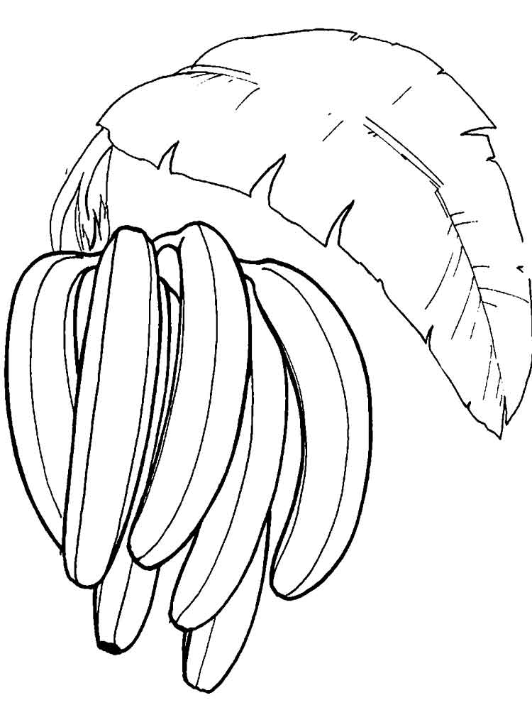 gambar sketsa pisang untuk mewarnai