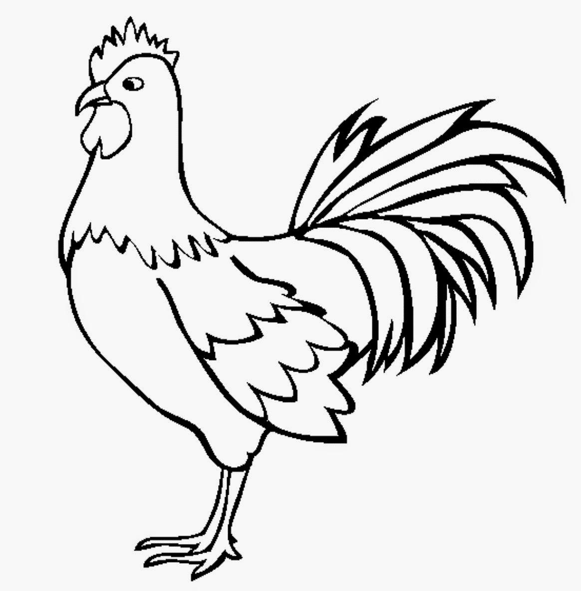 contoh mmewarnai gambar ayam jago
